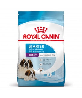 Royal Canin Dog Starter Mother & Babydog Giant