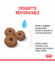 Royal Canin Dog Starter Mother & Babydog Giant