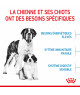 Royal Canin Dog Starter Mother & Babydog Giant