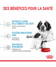 Royal Canin Dog Starter Mother & Babydog Giant