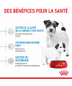 Royal Canin Dog Starter Mother & Babydog Mini