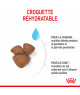 Royal Canin Dog Starter Mother & Babydog Mini