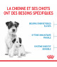 Royal Canin Dog Starter Mother & Babydog Mini
