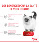 Royal Canin Cat Kitten