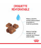 Royal Canin Cat Mother & Babycat