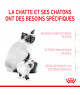 Royal Canin Cat Mother & Babycat
