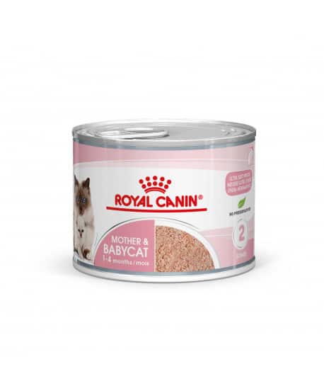 Royal Canin Cat Mother & Babycat