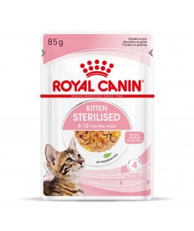 Royal Canin Cat Kitten Sterilised Bouchées en gelée