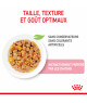 Royal Canin Cat Kitten Sterilised Bouchées en gelée