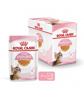 Royal Canin Cat Kitten Sterilised Bouchées en gelée
