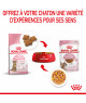 Royal Canin Cat Kitten Sterilised Bouchées en gelée