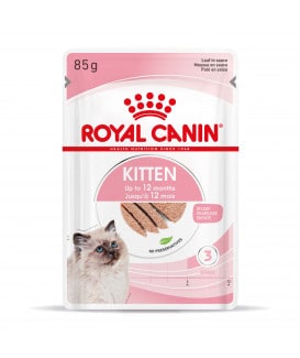 Royal Canin Cat Kitten Mousse sachet repas