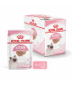 Royal Canin Cat Kitten Mousse sachet repas