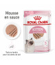 Royal Canin Cat Kitten Mousse sachet repas