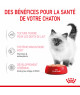 Royal Canin Cat Kitten Mousse sachet repas