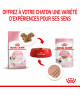 Royal Canin Cat Kitten Mousse sachet repas