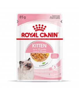 Royal Canin Cat Kitten Bouchées en gelée