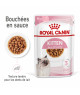 Royal Canin Cat Kitten Bouchée en Sauce