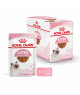 Royal Canin Cat Kitten Bouchée en Sauce