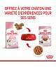 Royal Canin Cat Kitten Bouchée en Sauce