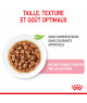 Royal Canin Cat Kitten Bouchée en Sauce