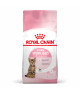 Royal Canin Cat Kitten Sterilised