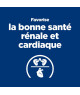Chat Y/D Boîte