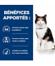 Chat Y/D Boîte