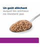 Chat Y/D Boîte