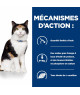Chat Y/D Boîte