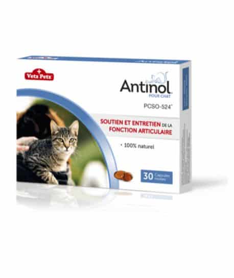 Antinol chat