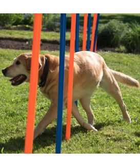 Agility : Slalom Trixie Fun