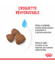 Royal Canin Dog Starter Mother & Babydog Medium