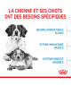 Royal Canin Dog Starter Mother & Babydog Medium