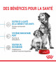 Royal Canin Dog Starter Mother & Babydog Medium