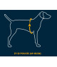 Manteau rafraîchissant Swamp Cooler Ruffwear