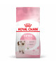 Royal Canin Cat Kitten
