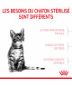 Royal Canin Cat Kitten Sterilised