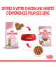 Royal Canin Cat Kitten Sterilised Bouchées en sauce