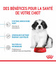 Royal Canin Dog Puppy Giant