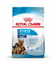 Royal Canin Dog Starter Mother & Babydog Maxi