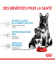 Royal Canin Dog Starter Mother & Babydog Maxi
