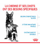 Royal Canin Dog Starter Mother & Babydog Maxi