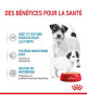 Royal Canin Dog Starter Mother & Babydog Mousse