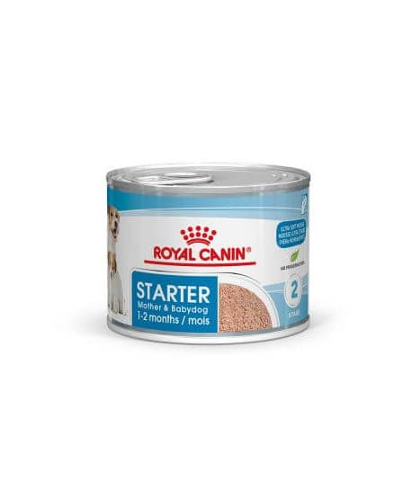 Royal Canin Dog Starter Mother & Babydog Mousse