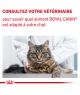Cat Neutered Balance Sachet repas
