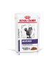 Cat Neutered Maintenance Sachet repas