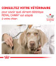 Royal Canin Dog Diabetic