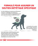 Royal Canin Dog Diabetic