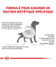 Royal Canin Dog Gastrointestinal